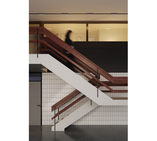 Трековый магнитный светильник Maytoni Technical Basis Radity TR080-4-10WTW-B