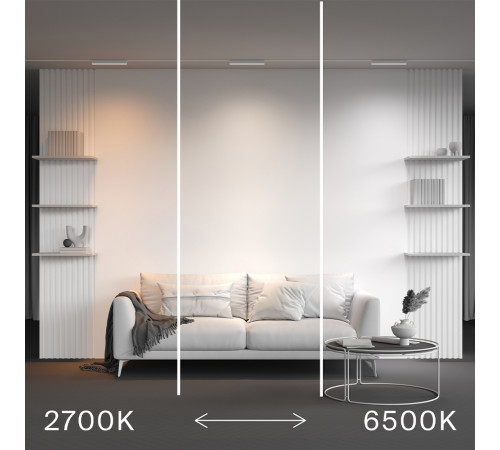 Трековый магнитный светильник Maytoni Technical Basis Radity TR080-4-10WTW-W