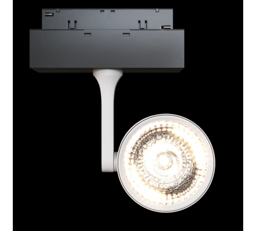 Трековый светильник Maytoni Oko TR024-2-10W3K