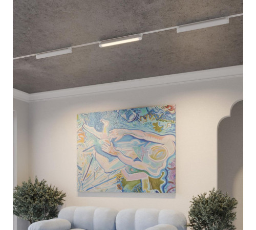 Трековый однофазный трехжильный светильник с переключателем цветовой температуры Novotech Port Iter 359798