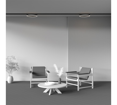 Трековый магнитный светильник Maytoni Rim TR227-2-24W3K-B Трековый магнитный светильник Maytoni Rim TR227-2-24W3K-B