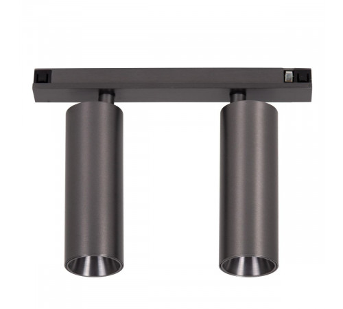 Трековый магнитный светильник Lucide Linial 55902/20/08