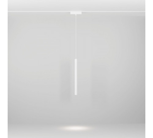 Трековый магнитный светильник Maytoni Technical Focus Led Radity TR257-4-7WTW-M-W