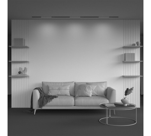 Трековый магнитный светильник Maytoni Technical Basis TR231-2-10W4K-B