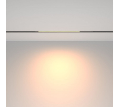 Трековый магнитный светильник Maytoni Technical Basis TR231-2-10W3K-B