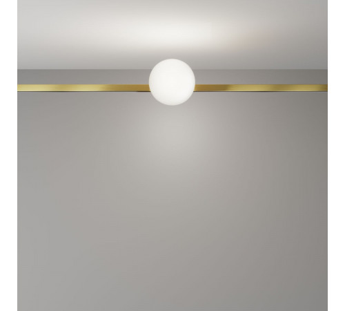 Трековый магнитный светильник Maytoni Technical Luna TR229-1-5W4K-BS
