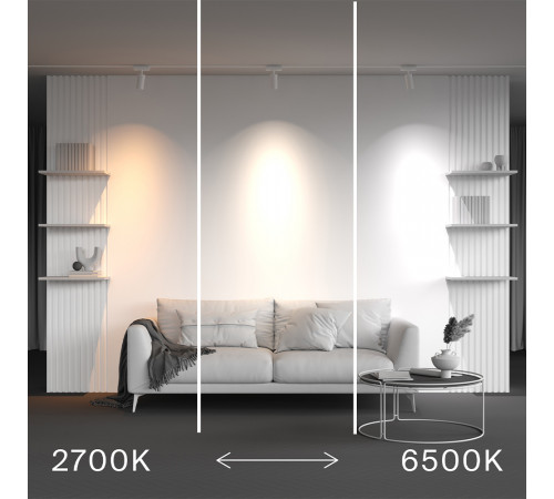 Трековый магнитный светильник Maytoni Technical Focus Led Radity TR103-4-12WTW-M-W