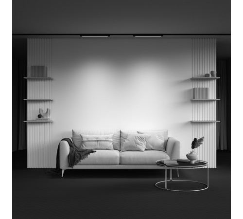 Трековый однофазный светильник Maytoni Technical Basis TR000-1-24W4K-B_1