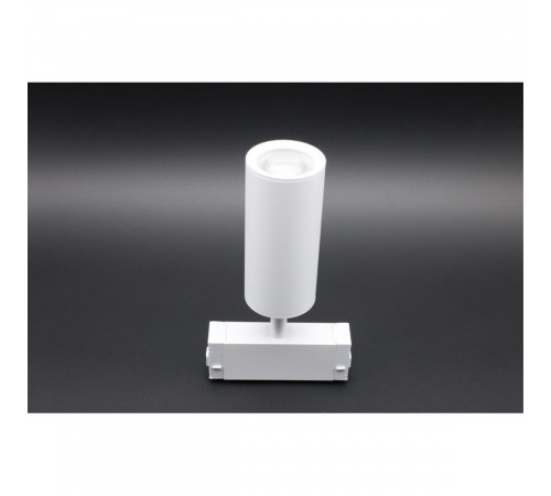 Трековый магнитный светильник Aployt Magnetic track 220 APL.0209.11.01