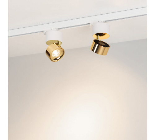 Трековый трехфазный светильник Arlight SP-PLURIO-TRACK-4TR-R77-9W Day4000 (WH-BRS, 36 deg, 230V) (IP20 Металл) 038100