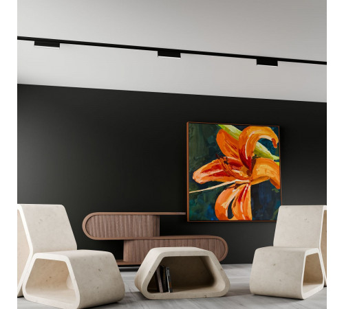 Трековый магнитный светильник Lightera Startrek 220 LE175TRL-6B4K