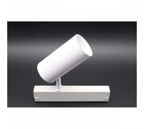 Трековый магнитный светильник Aployt Magnetic track 220 APL.0205.10.20