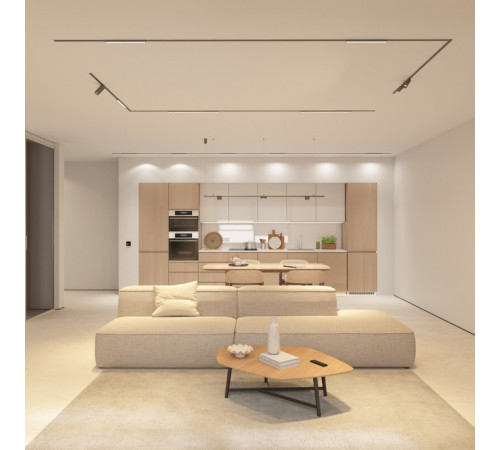 Трековый магнитный светильник Denkirs Shine Linear Zigbee DK5951-DN