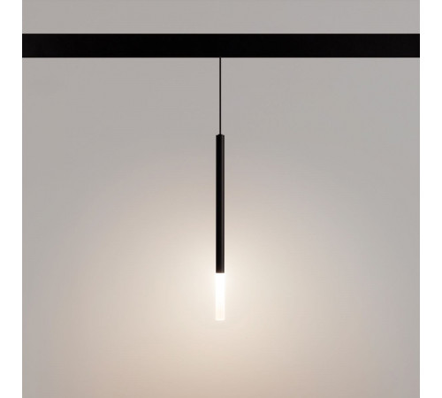 Трековый магнитный светильник Arlight MAG-ORIENT-STICK-HANG-R20-3W Day4000 (Черный, 180 deg, 48V) (IP20 Металл) 036541(2)