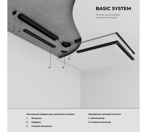 Трековый однофазный светильник Elektrostandard Basic System 85900/01 4690389220470 a072218