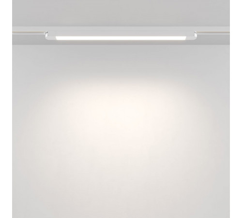 Трековый однофазный светильник Maytoni Technical Basis TR000-1-24W4K-W_1