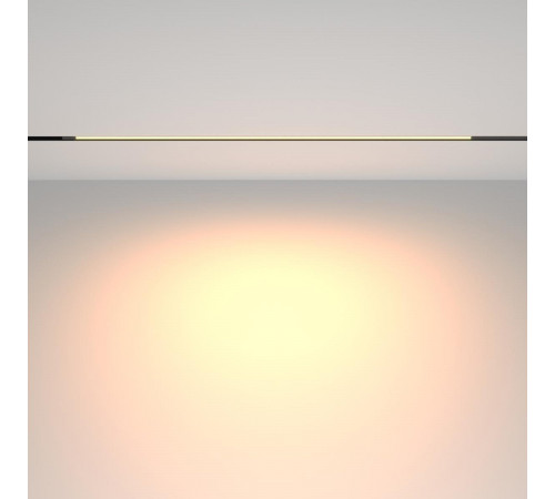 Трековый магнитный светильник Maytoni Technical Basis TR231-2-15W3K-B