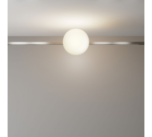 Трековый магнитный светильник Maytoni Technical Luna TR229-1-8W3K-PT