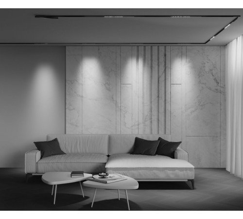 Трековый магнитный светильник Maytoni Technical Points TR241-4-6WTW-DSZ-B