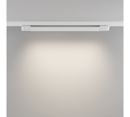 Трековый трехфазный светильник Maytoni Technical Basis TR196-3-20W4K-W(N)
