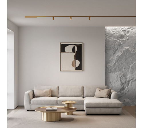 Трековый магнитный светильник Elektrostandard 85525/01 4690389218729 a071846