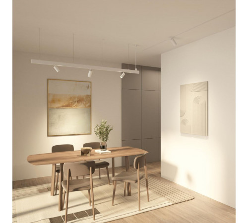 Трековый однофазный светильник Denkirs Simple Spot DK8110-WH