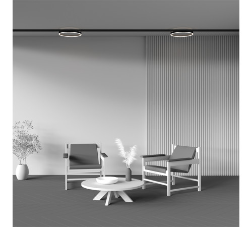 Трековый магнитный светильник Maytoni Rim TR227-2-24W4K-B