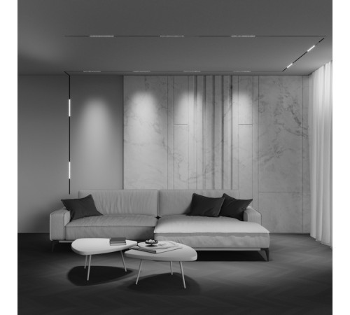 Трековый магнитный светильник Maytoni Technical Points Exility X TR241-4-12WTW-DD2-B