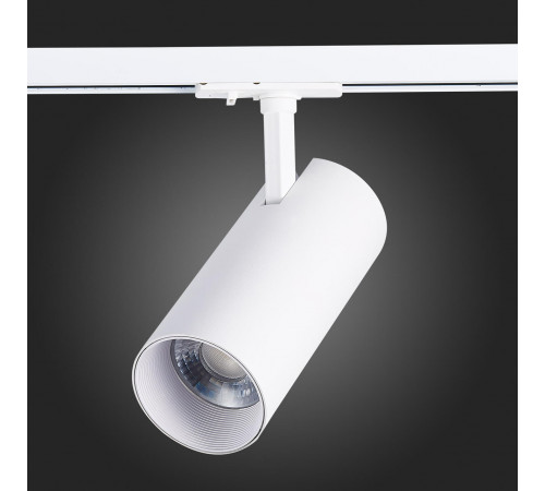 Трековый светильник ST LUCE MONO ST350.546.30.24