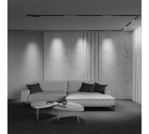 Трековый магнитный светильник Maytoni Technical Points Exility X TR241-4-6WTW-DD2-B