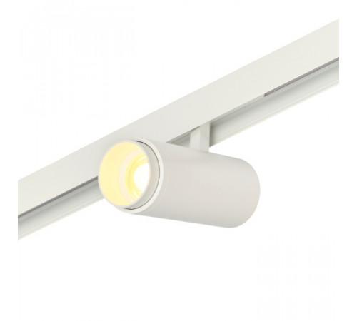 Трековый магнитный светильник Myfar RayZoom MT0222-20W3K-S-W