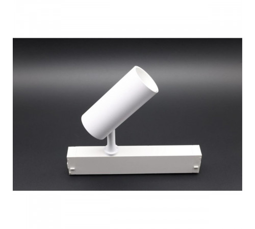 Трековый магнитный светильник Aployt Magnetic track 220 APL.0205.10.10