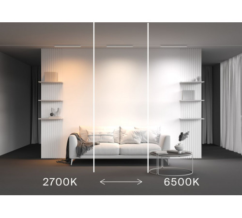 Трековый магнитный светильник Maytoni Technical Basis Radity TR080-4-20WTW-W