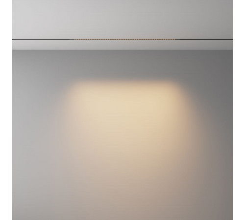 Трековый магнитный светильник Maytoni Technical Points Exility X TR241-2-12W3K-B