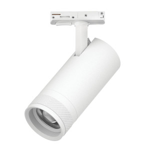 Трековый светильник для однофазного/трехфазного шинопровода Barra 20-55G с тонким адаптером Lightstar Canno Pro C4206SS