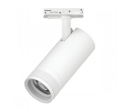 Трековый светильник для однофазного/трехфазного шинопровода Barra 20-55G с тонким адаптером Lightstar Canno Pro C4206SS