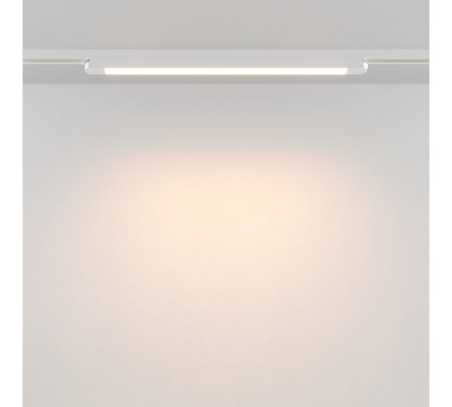 Трековый однофазный светильник Maytoni Technical Basis TR000-1-24W3K-W_1