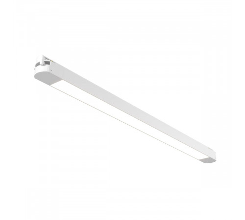 Трековый однофазный светильник Maytoni Technical Basis TR000-1-24W4K-W_1