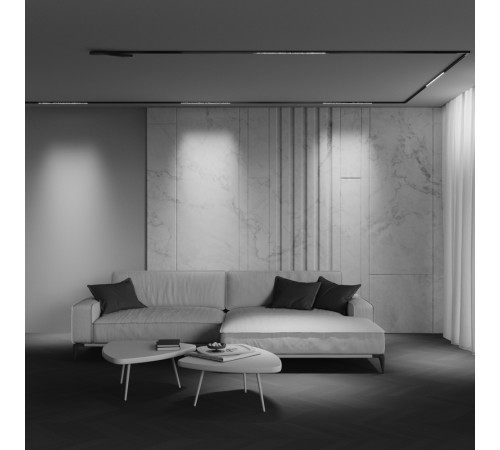 Трековый магнитный светильник Maytoni Technical Points Exility X TR241-2-12W4K-B