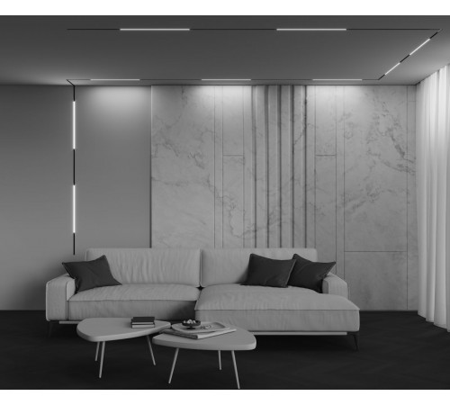 Трековый светильник Maytoni Technical Exility X TR240-2-12W4K-B