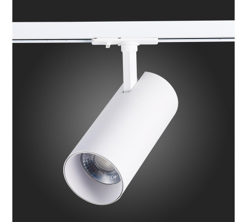 Трековый светильник ST LUCE MONO ST350.536.30.24