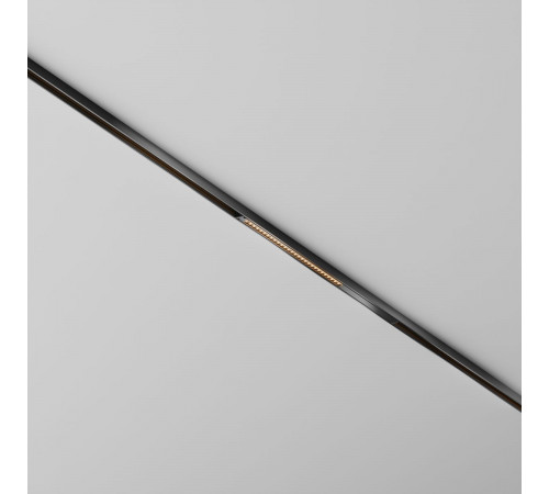 Трековый магнитный светильник Maytoni Technical Points TR241-4-6WTW-DSZ-B