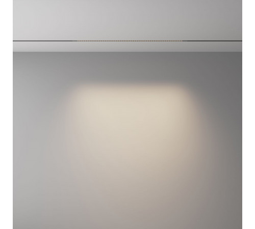 Трековый магнитный светильник Maytoni Technical Points Exility X TR241-2-12W4K-B