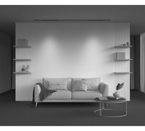 Трековый магнитный светильник Maytoni Technical Points TR232-2-15W3K-B