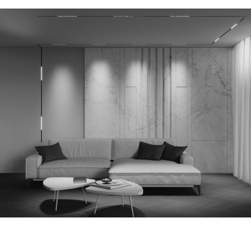 Трековый магнитный светильник Maytoni Technical Points Exility X TR241-4-12WTW-DD2-B