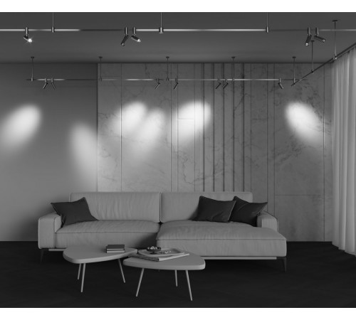 Трековый магнитный светильник Maytoni Technical Focus Led Flarity TR144-1-12W4K-W-PT