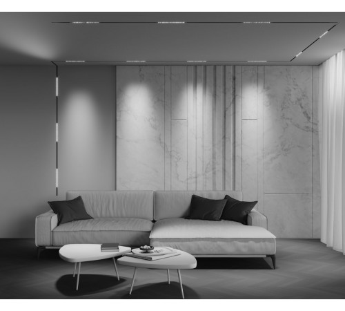 Трековый магнитный светильник Maytoni Technical Points Exility X TR241-2-6W3K-B