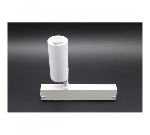 Трековый магнитный светильник Aployt Magnetic track 220 APL.0205.10.10