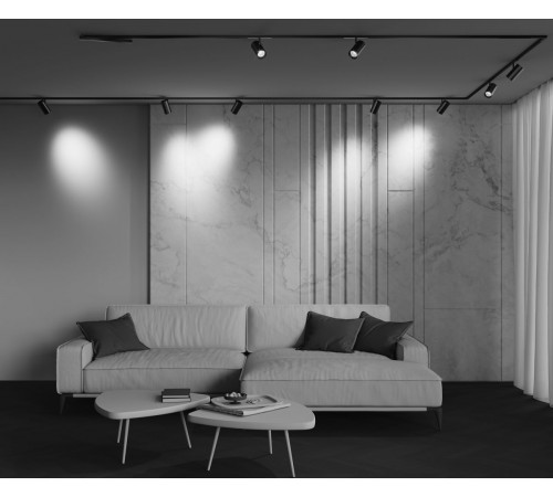 Трековый магнитный светильник Maytoni Technical Focus Led Exility X TR243-4-18WTW-DD2-B