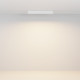 Трековый магнитный светильник Maytoni Technical Basis Radity TR080-4-10WTW-W